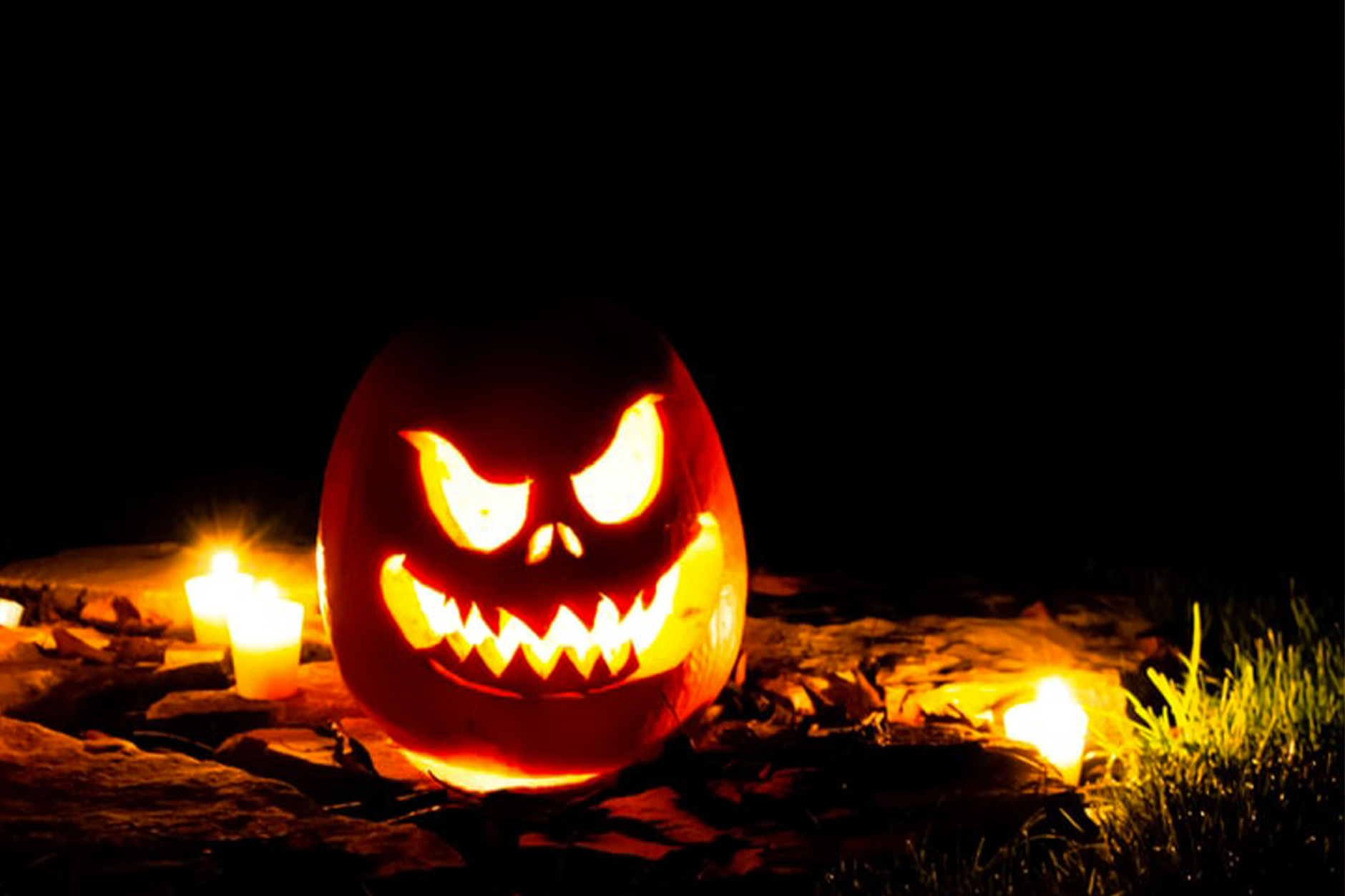 5 películas (y 5 vinos) para pasar un Halloween espeluznante 5 películas (y 5 vinos) para pasar un Halloween espeluznante