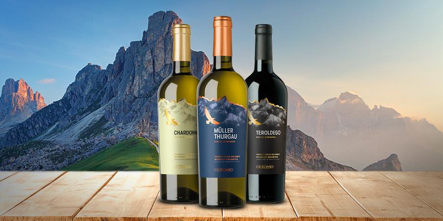 Un viaje a través de los vinos de Trentino Un viaje a través de los vinos de Trentino