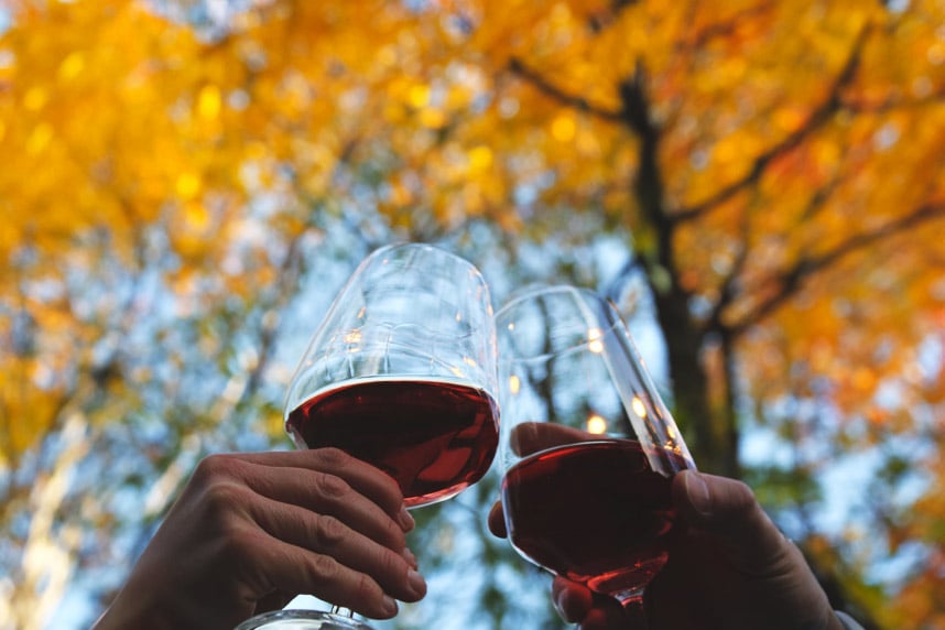 Vuelven los rojos: 3 recetas que huelen a otoño  Vuelven los rojos: 3 recetas que huelen a otoño